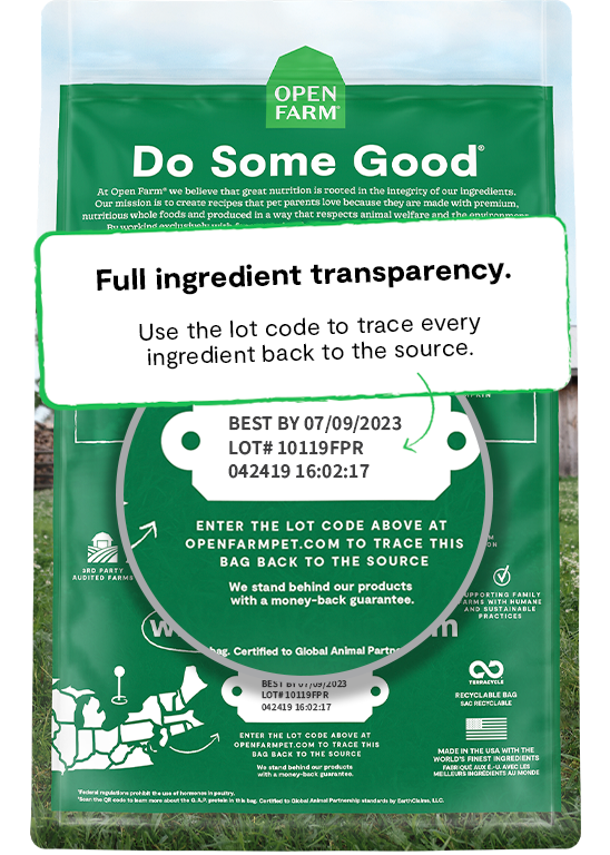 Homestead Turkey & Chicken Dry Cat Food Open Farm