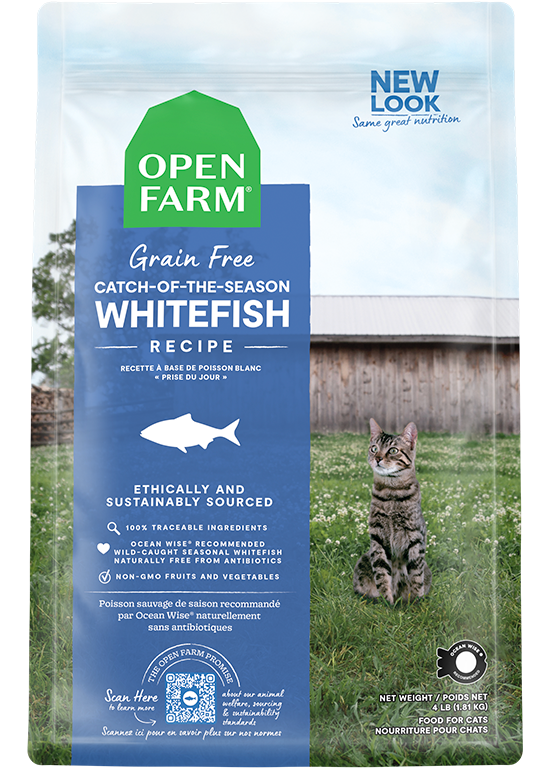 Whitefish Grain-Free Cat Kibble by Open Farm
