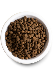 Grass-Fed Beef Grain-Free Dry Dog Food