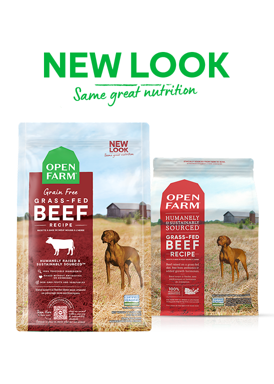 Grain Free Dry Dog Food with Grass Fed Beef Open Farm