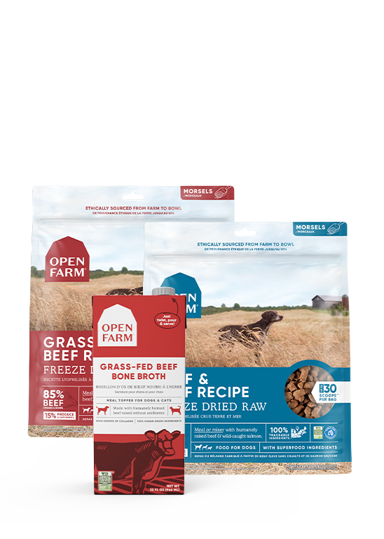 Picky Pets Bundle - Tailored Pet Food for Picky Dogs – Open Farm