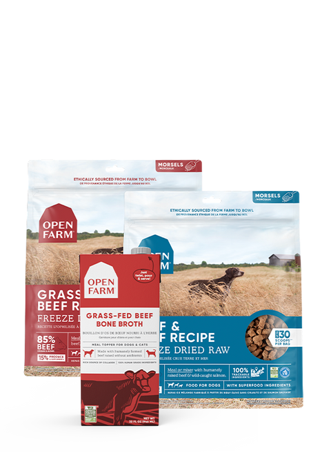 PDP_BUNDLES_Toppers-