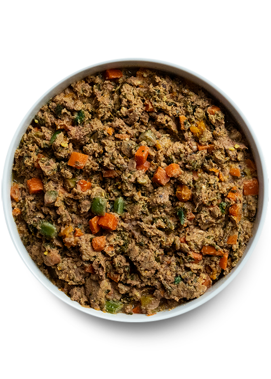 Image showcasing Gently Cooked Dog Food - Protein-Rich, Grass Fed Beef Dog Food – Open Farm