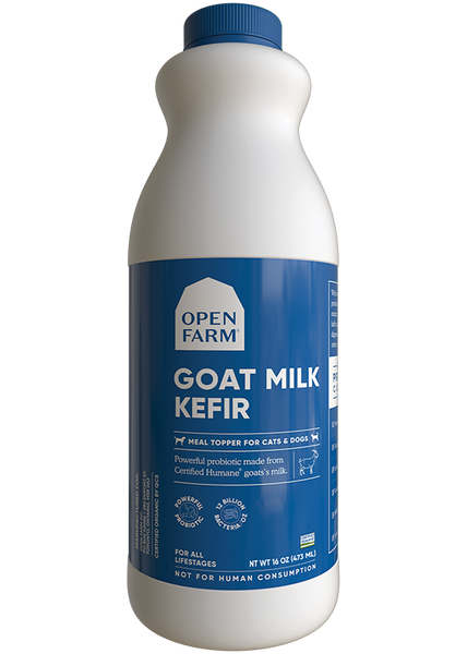 Kefir for dogs reviews outlet